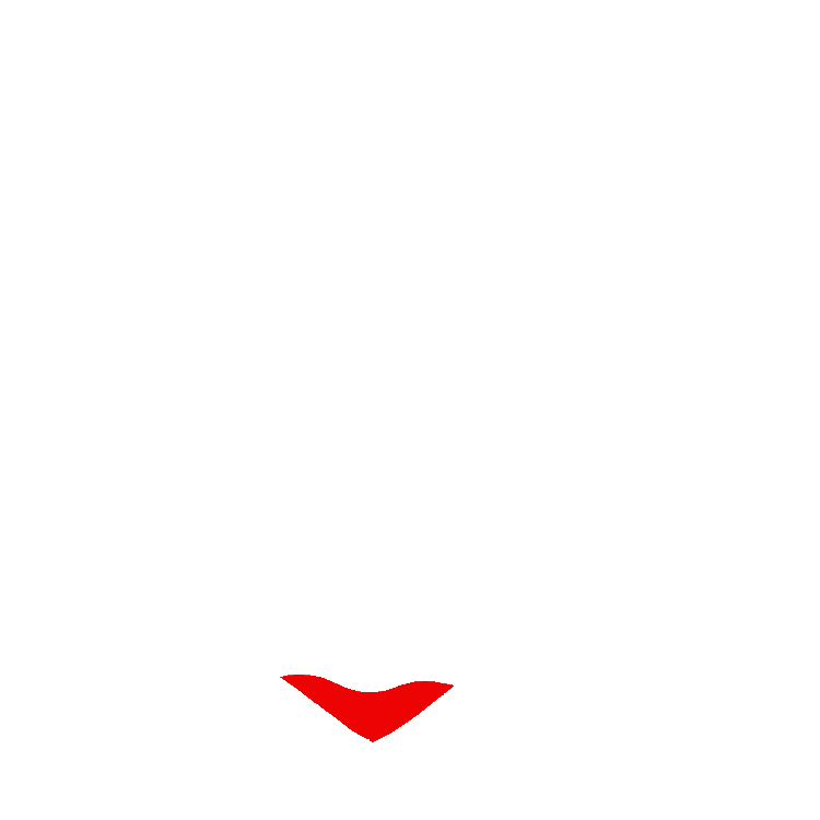 Heart icon representing Proactive Protection